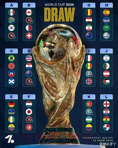 2026世界杯荷兰哈兰德赛事预测深度解读